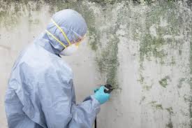 Best Commercial Mold Inspection  in Midway, KY